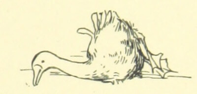 気づいたら正座ができない もしかして心臓病 検査談と解決策 またしても みじめな事態